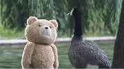 《泰迪熊2》剧照曝光 贱熊跨种族搞鸭子？