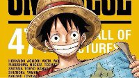 海贼迷收图了！《海贼王》47名角色封面全公开