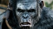 《猩球崛起3》也跳票了！2017年7月14日上映