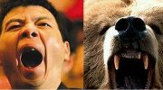 不是亲戚还长得一样？明星与动物的和谐撞脸