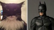 夭寿！喵星人进化成蝙蝠侠 令人捧腹的猫咪COS