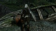 《巫师3》PC版最新截图 满汉全席迎白狼
