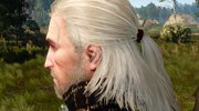 《巫师3》合作人：降质是因主机机能不达标