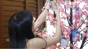 《天下3》“七载天下女儿行”见面会大型回顾