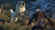 《巫师3》前两周销量达四百万 Steam版约占15%