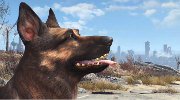 E3：《辐射4》最新细节 忠诚不死狗