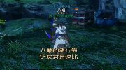 弩炮挑战黑狼鸟教学 八幡解说