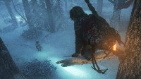 《古墓丽影：崛起》新图劳拉勇闯雪域 无处话凄凉