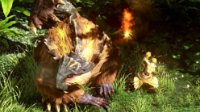 弩炮最终配装 攻大、通强、火属性强化