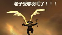 谈魔兽世界禁飞 在不能飞的日子你都做啥了
