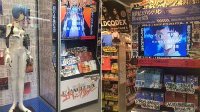 《EVA》最新BDBOX正式发售 大量店铺实物图曝出