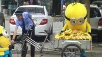 人类与小黄人不得不说的事 终结它们的竟是城管