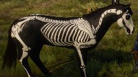 《巫师3》马匹Mod欣赏 萝卜变身地狱战马