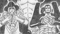 《海贼王》漫画第800话先行图 草帽舰队正式形成