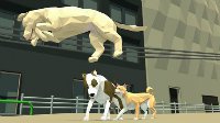 生存游戏《居无定所》开众筹 体验单身流浪狗的生活