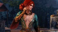 CDPR：防盗版机制会影响游戏体验 《巫师3》不需要