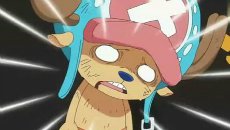 动漫晚报| 小圆推新作 海贼王上演毒气弹灭国