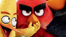 动画电影《愤怒的小鸟》新海报发布 大红被调戏