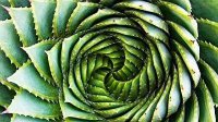 强迫症看完此生无憾 完美图片让你不再受虐