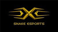 七彩虹签约Snake战队征战LPL