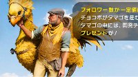 《最终幻想15》陆行鸟画面 能骑能种庄稼能卖萌