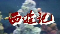 忘不掉的旋律和场景 每一部都看过N遍的电视剧