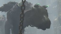 E3：《最后的守护者》最新截图 大鹫与主角温情互动