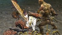梦回赤月《传奇永恒》新野外地图开放视频