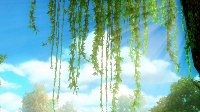 《天下》手游王朝密探活动详细攻略