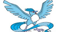 《精灵宝可梦：GO》急冻鸟属性图鉴