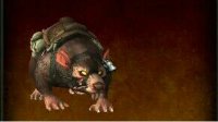 《WOW》7.0新坐骑达拉然下水道巨鼠获取攻略