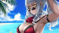 《命运-冠位指定》夏季活动礼装预览