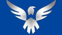 Wings Ti6夺冠惊动团中央 国内多家官媒发文庆贺