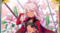《Fate/Grand Order》蓝卡红A小黑技能资料