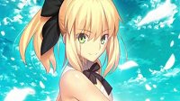 《FGO》阿尔托莉雅Lily宝具发动演示及属性介绍