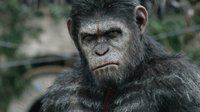 《猩球崛起3》官方公布剧情梗概 凯撒黑化开始复仇