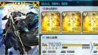 为什么别人满级那么快《FGO》英灵强化小tips