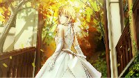 平易近人《FGO》蓝卡队伍的一些看法