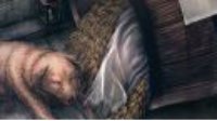 《FGO》亚历山大羁绊礼装賢者の樽介绍