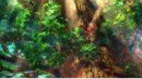 《FGO》C库丘林羁绊礼装森なりし聖解析