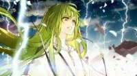 《FGO》日服枪阶恩奇都技能属性及配卡资料