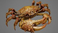 光泽水润的小动物《剑网3》重制版螃蟹曝光