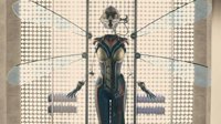 《蚁人2》将于6月份正式开拍 新队友黄蜂女登场