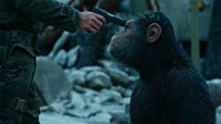 《猩球崛起3》新中文预告 凯撒终结人类统治！