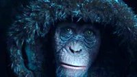 《猩球崛起3》新中字预告 又一只会说话的猩猩登场