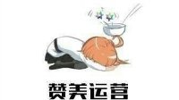 《FGO》国服运营道歉全服补偿30圣晶石
