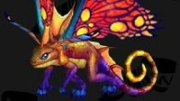《魔兽世界》太阳龙宝宝获得方法说明