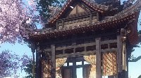 《逆水寒》修装备所需道具整理