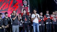 2017洲际系列赛观赛数据公布