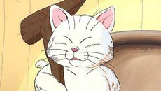 日本网友晒家中猫咪神POSE 酷似《龙珠》加林仙人